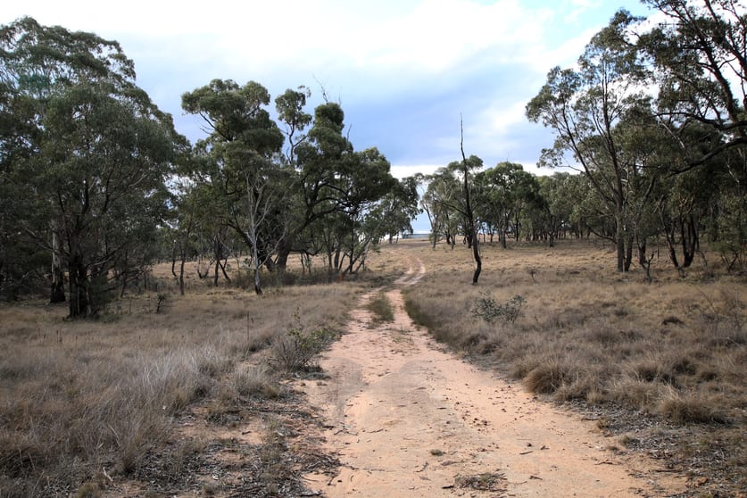 397 Rothlyn Road Chakola NSW 2630 - Image 1