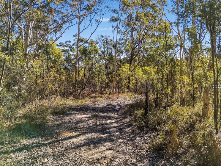 Click to view all images 401 Reedy Creek Road Rylstone NSW 2849 - Image 2