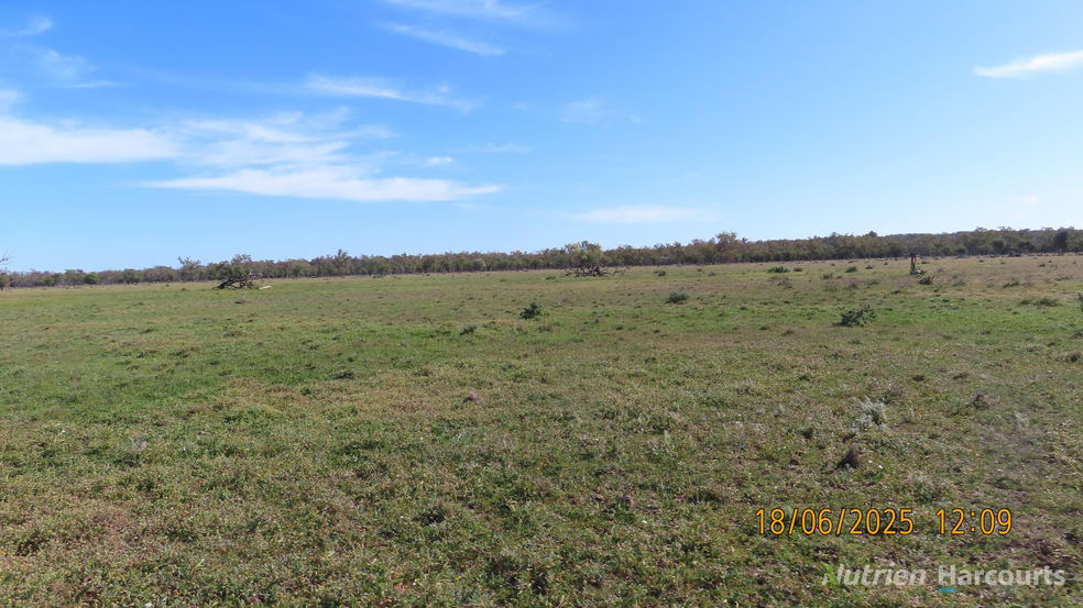 * Springvale Walgett NSW 2832 - Image 1