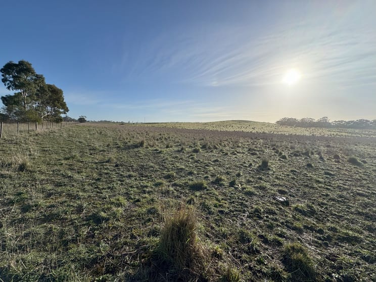 Click to view all images Lot 403 Riddoch Highway Wild Dog Valley SA 5271 - Image 3