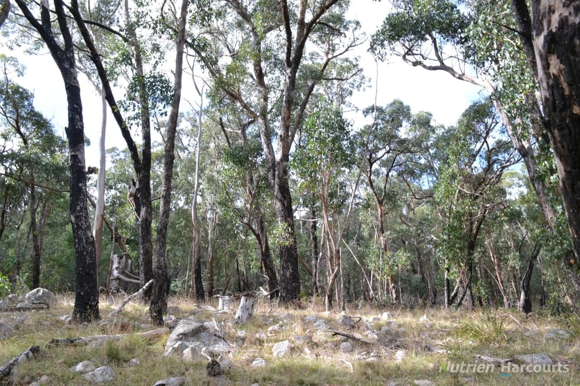 Click to view all images . Youngs Road Baynton VIC 3444 - Image 1