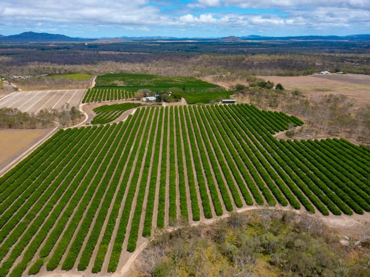22 LEONARDI ROAD Mareeba QLD 4880 - Image 1