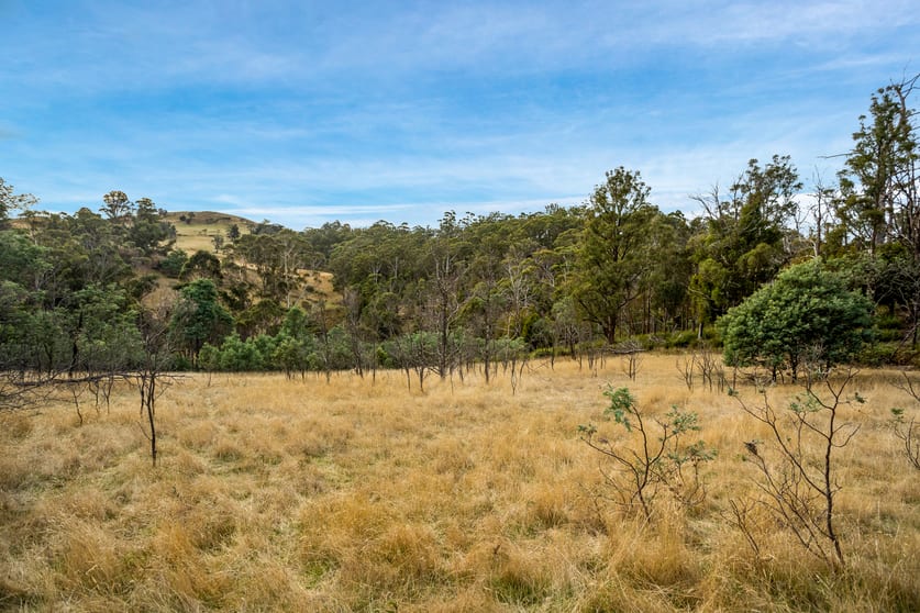 Click to view all images Lot 1 Yarlington Road Colebrook TAS 7027 - Image 1