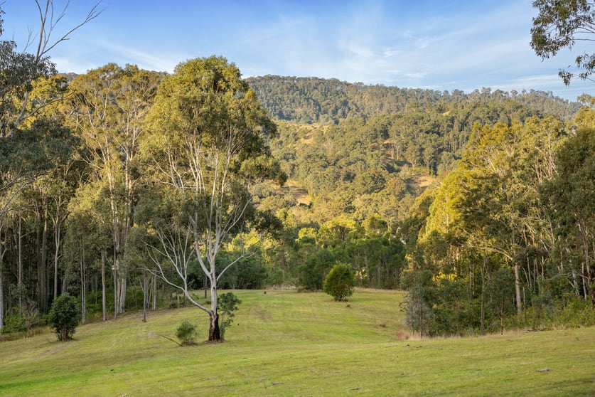 98 Parishs Road Dungog NSW 2420 - Image 2