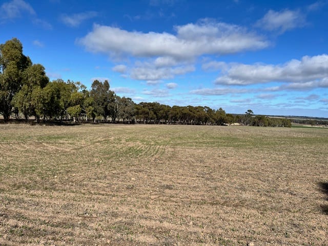 Click to view all images 18 MANNING ROAD Quairading WA 6383 - Image 3