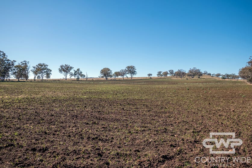 8, - Emmaville Road Emmaville NSW 2371 - Image 2