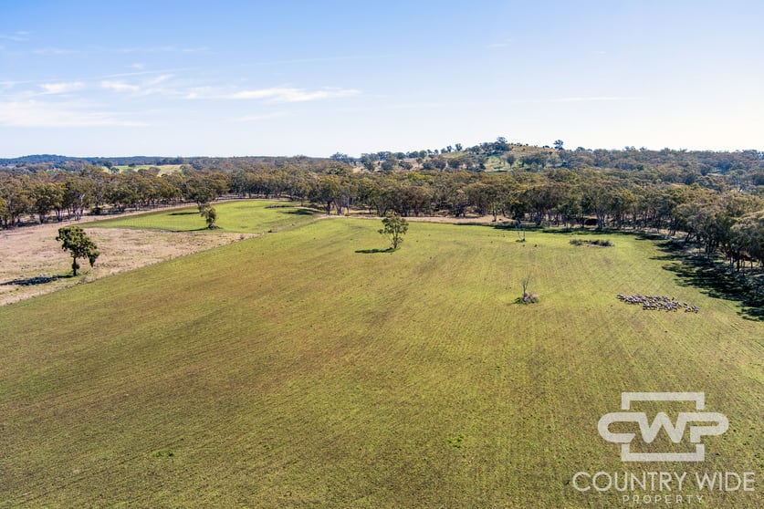 8, - Emmaville Road Emmaville NSW 2371 - Image 3