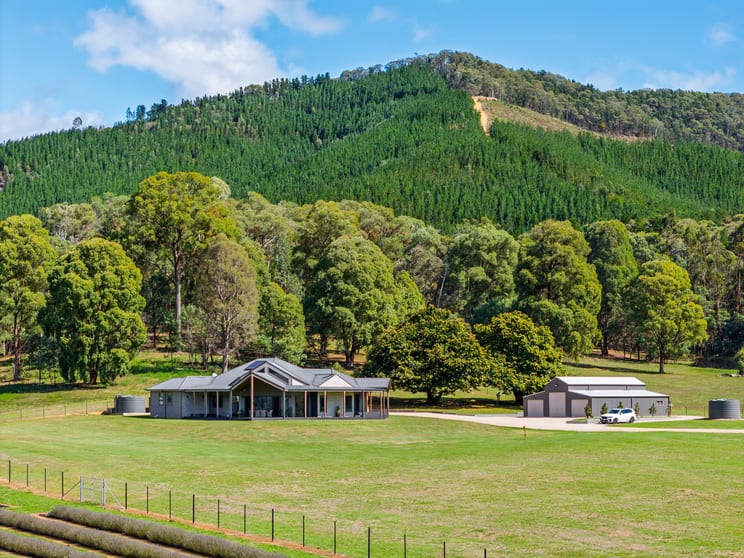 67 Jagoes Gully Road Wandiligong VIC 3744 - Image 1