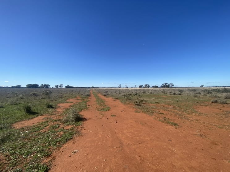 Click to view all images 382 Jones Lane Condobolin NSW 2877 - Image 2