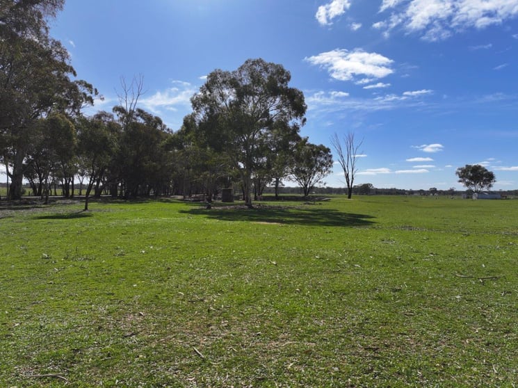 Click to view all images - Arnold West-Inglewood Road Inglewood VIC 3517 - Image 3