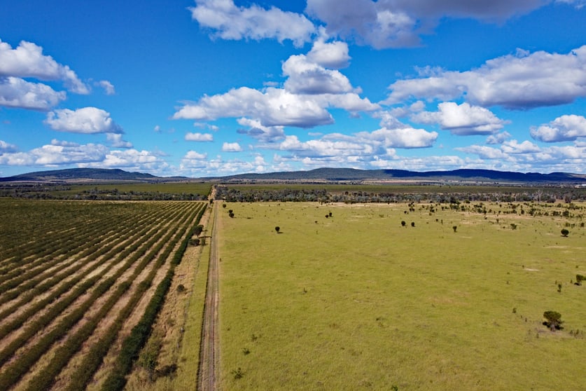 "Millar Fields" Kavanaghs Road Banana QLD 4702 - Image 2