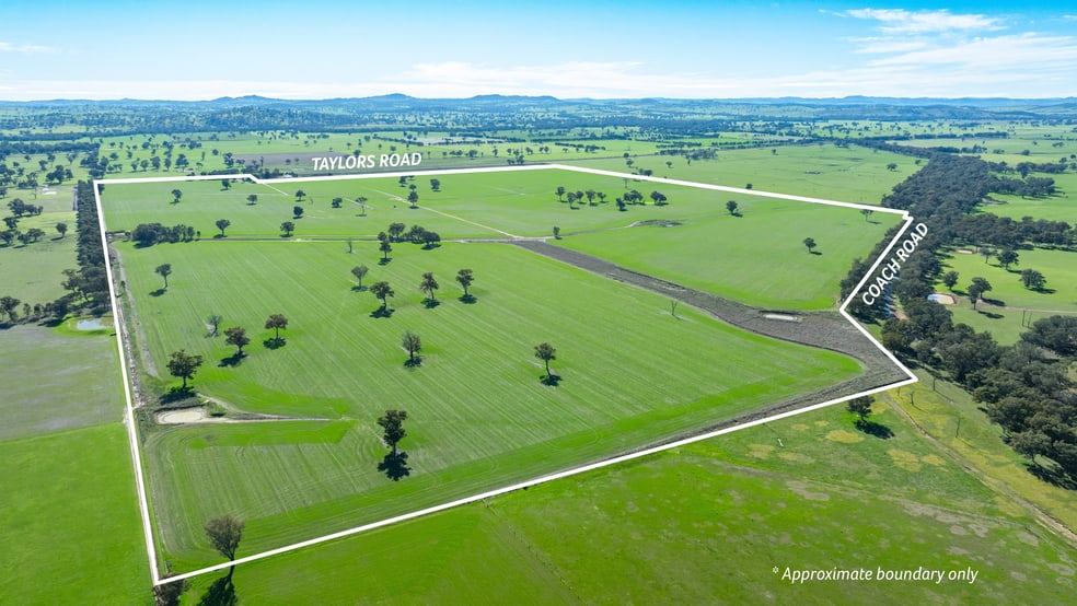 'Eden Hope'/424 Taylors Rd Culcairn NSW 2660 - Image 1