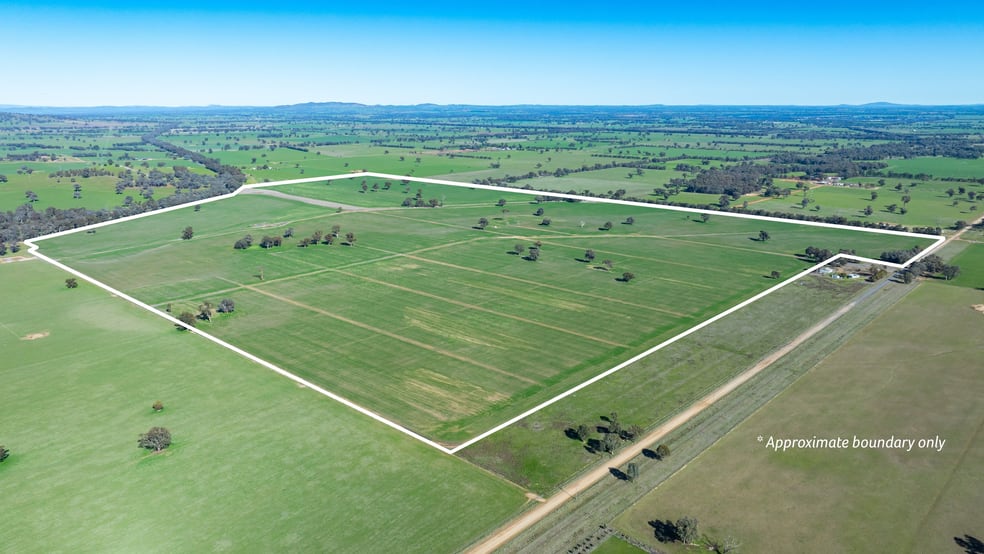 'Eden Hope'/424 Taylors Rd Culcairn NSW 2660 - Image 2