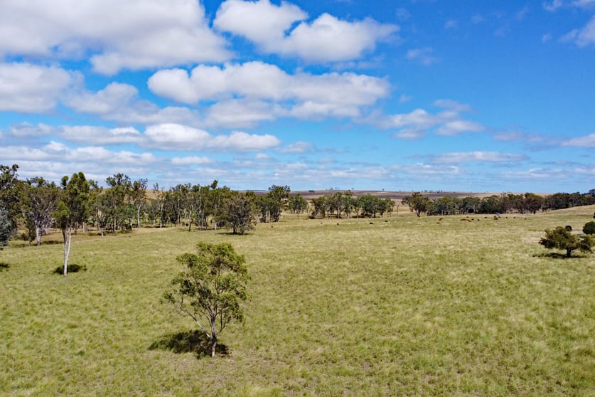"Mt Shaw"/2123 Harrami Road Harrami QLD 4630 - Image 3