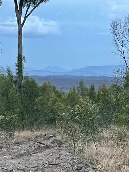 Lot 1 Yankee Gully Road Allora QLD 4362 - Image 3