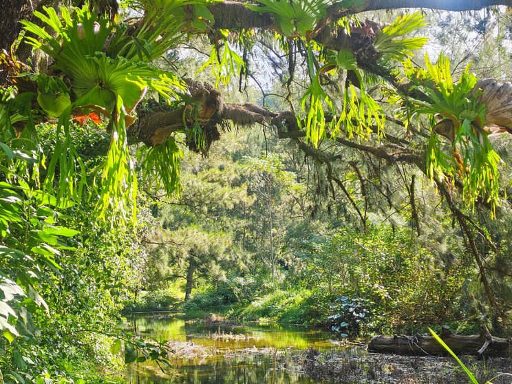 Click to view all images 5155 Taylors Arm Rd Thumb Creek NSW 2447 - Image 2