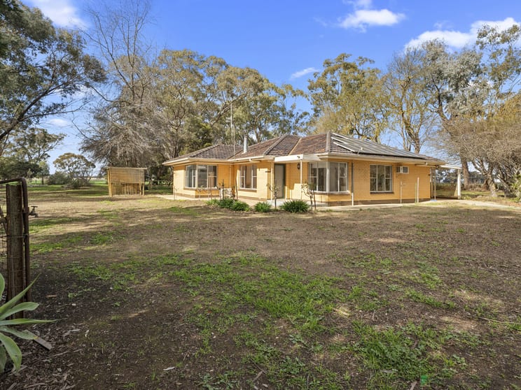 1165 Fenaughty Road Merrigum VIC 3618 - Image 3