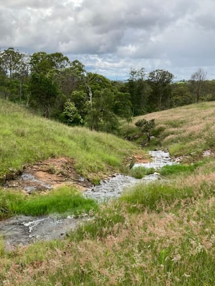 Lot 1 and Lot 5 Bald Hills Road Plainby QLD 4355 - Image 3