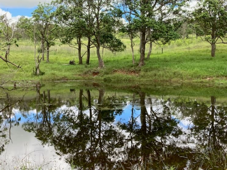 Lot 1 and Lot 5 Bald Hills Road Plainby QLD 4355 - Image 1