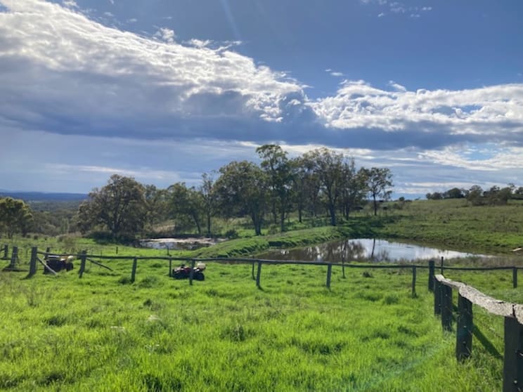 Lot 1 and Lot 5 Bald Hills Road Plainby QLD 4355 - Image 2