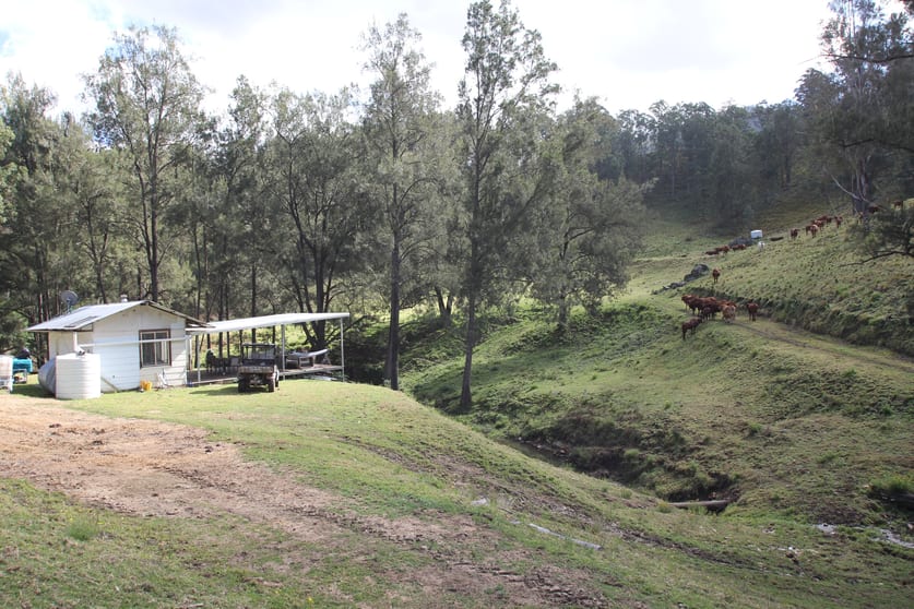 Lot 36 Demon Creek Road Tenterfield NSW 2372 - Image 2