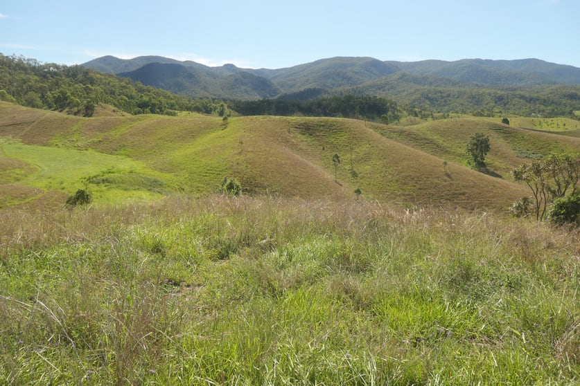 10/ Rocky River Road Rocky River NSW 2372 - Image 3
