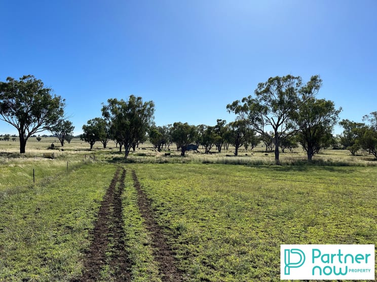205 Gidley-Appleby Road Tamworth NSW 2340 - Image 3