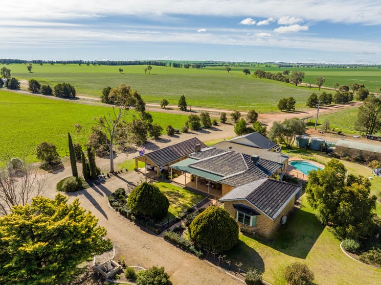 Click to view all images 2214 Coolamon Road Coolamon NSW 2701 - Image 1
