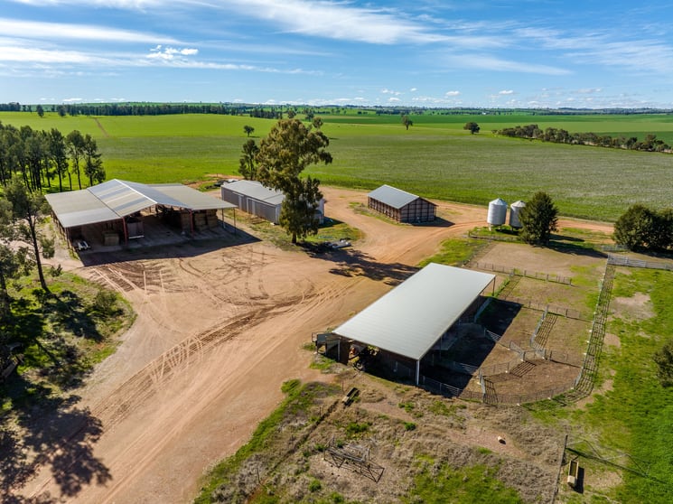 Click to view all images 2214 Coolamon Road Coolamon NSW 2701 - Image 2