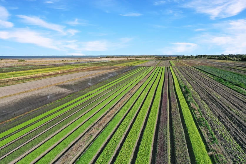 690 Aitkens Road Bengworden VIC 3875 - Image 3