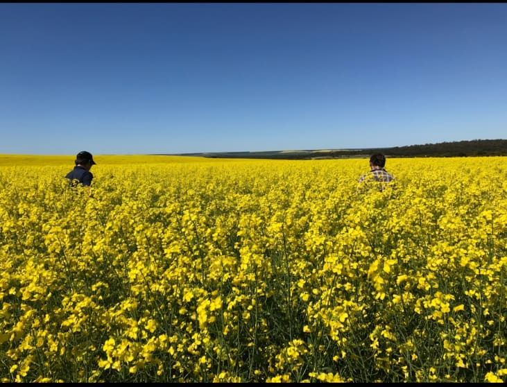 Click to view all images Valentine Road Wicherina WA 6532 - Image 2