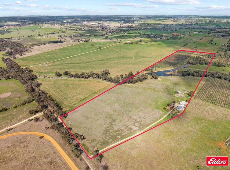 215 Bribbaree Road Young NSW 2594 - Image 1