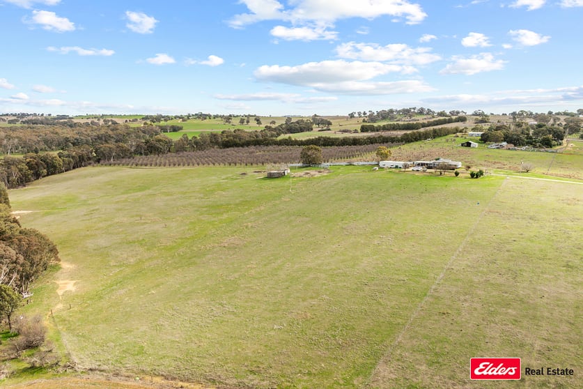 215 Bribbaree Road Young NSW 2594 - Image 2