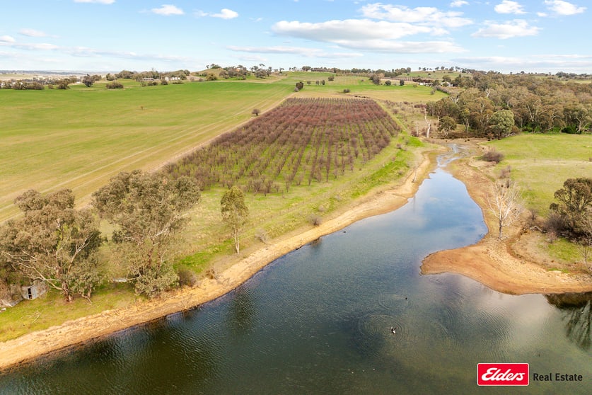 215 Bribbaree Road Young NSW 2594 - Image 3