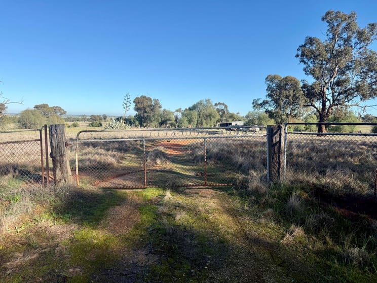 239 Mitiamo-Forest Road Mitiamo VIC 3573 - Image 2