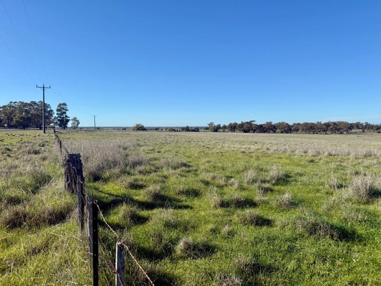 239 Mitiamo-Forest Road Mitiamo VIC 3573 - Image 3