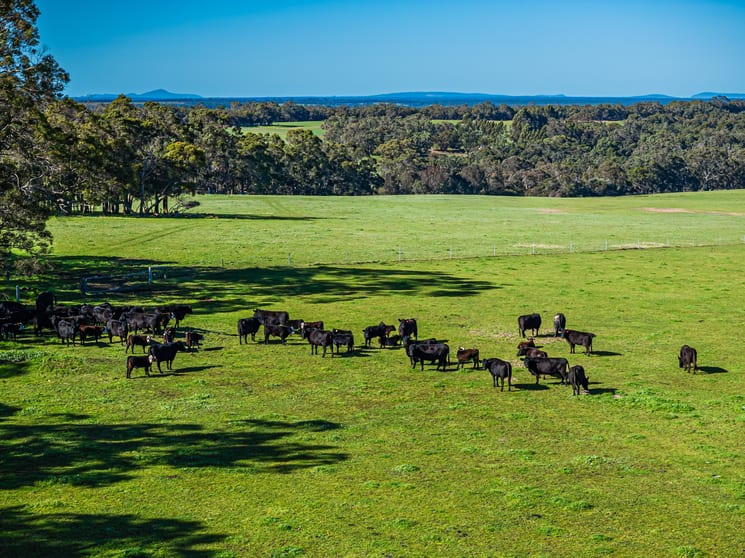 160 Porongurup Road Mount Barker WA 6324 - Image 3