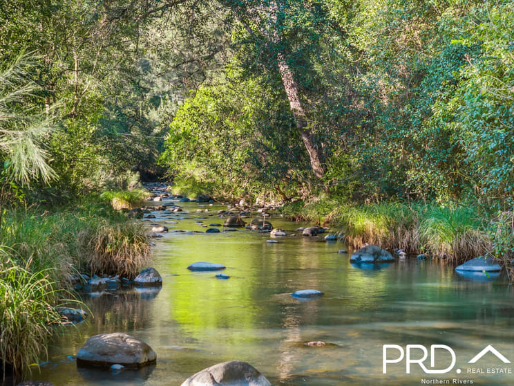 181 Warrazambil Creek Road Lynchs Creek NSW 2474 - Image 2