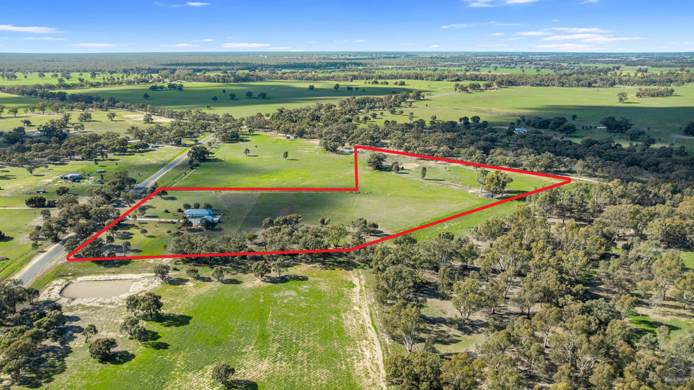 Click to view all images 1301 Picola-Barmah Road Barmah VIC 3639 - Image 2