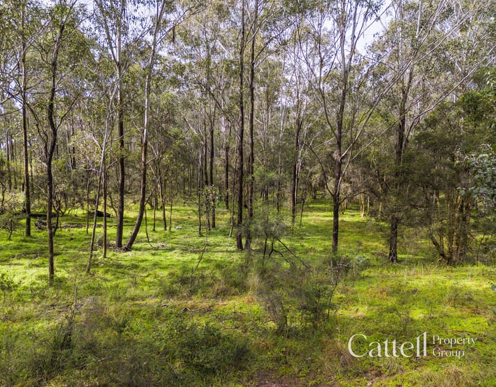 1059 Old Maitland Road Sawyers Gully NSW 2326 - Image 2