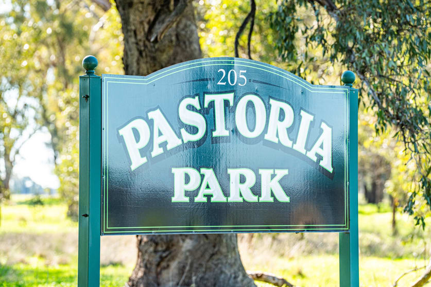 'Pastoria Park' 205 Balldale Road Hopefield NSW 2646 - Image 1