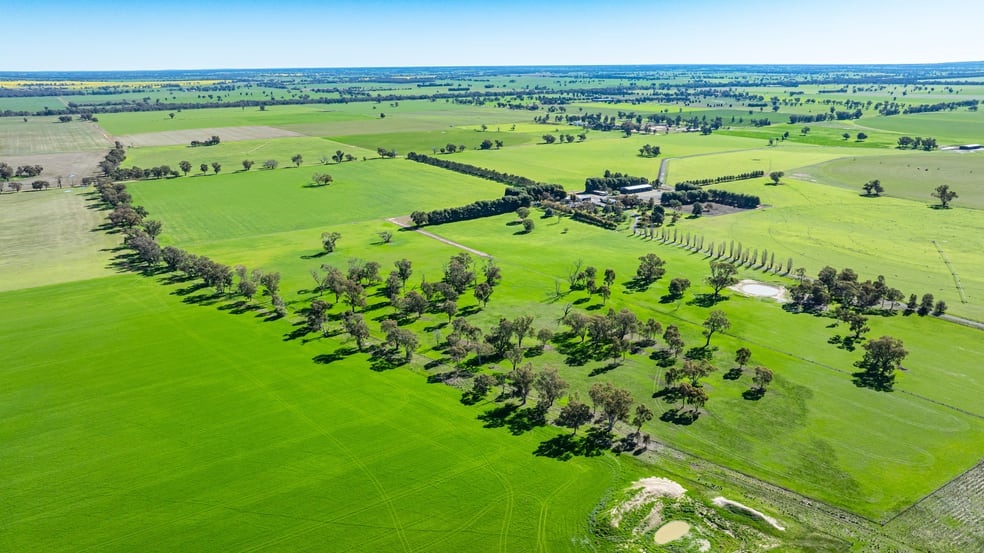 'Pastoria Park' 205 Balldale Road Hopefield NSW 2646 - Image 2
