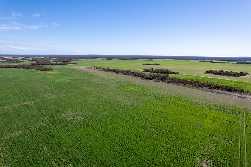 3276 Mount Hill-Coomaba Road Moody SA 5607 - Image 3