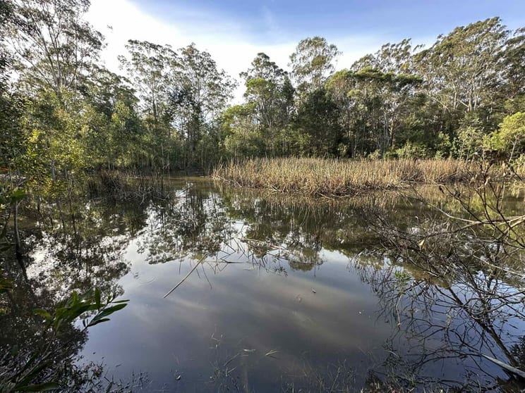 Lot 1 Inches Road Verges Creek NSW 2440 - Image 3