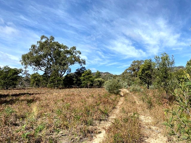 150 Reedy Creek Road Rylstone NSW 2849 - Image 1