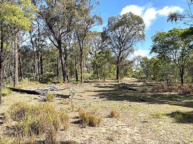 150 Reedy Creek Road Rylstone NSW 2849 - Image 2