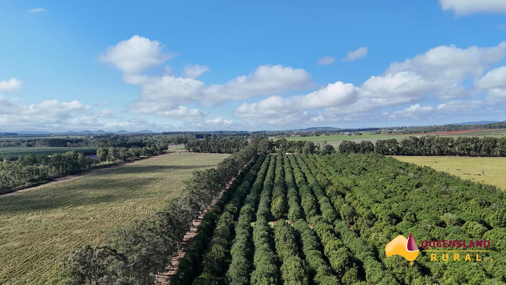 Banchio Road Tolga QLD 4882 - Image 2