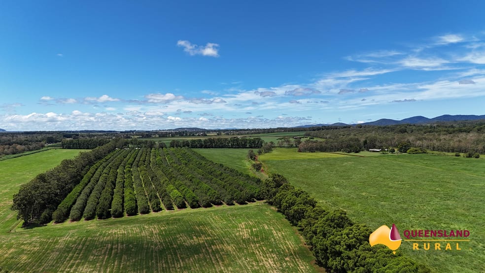 Banchio Road Tolga QLD 4882 - Image 1