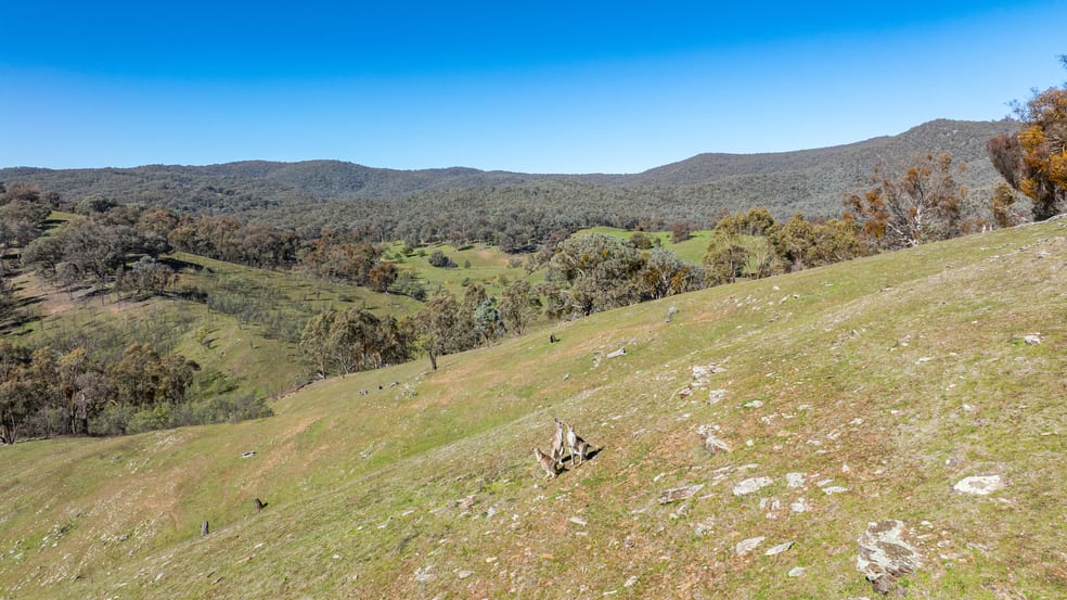 'Sweetwater' 198 Tinmines Road Mullengandra NSW 2644 - Image 2