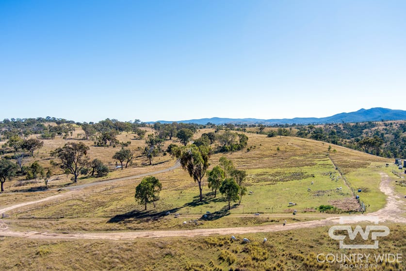 Click to view all images 12, 212 Mole Station Road Tenterfield NSW 2372 - Image 2